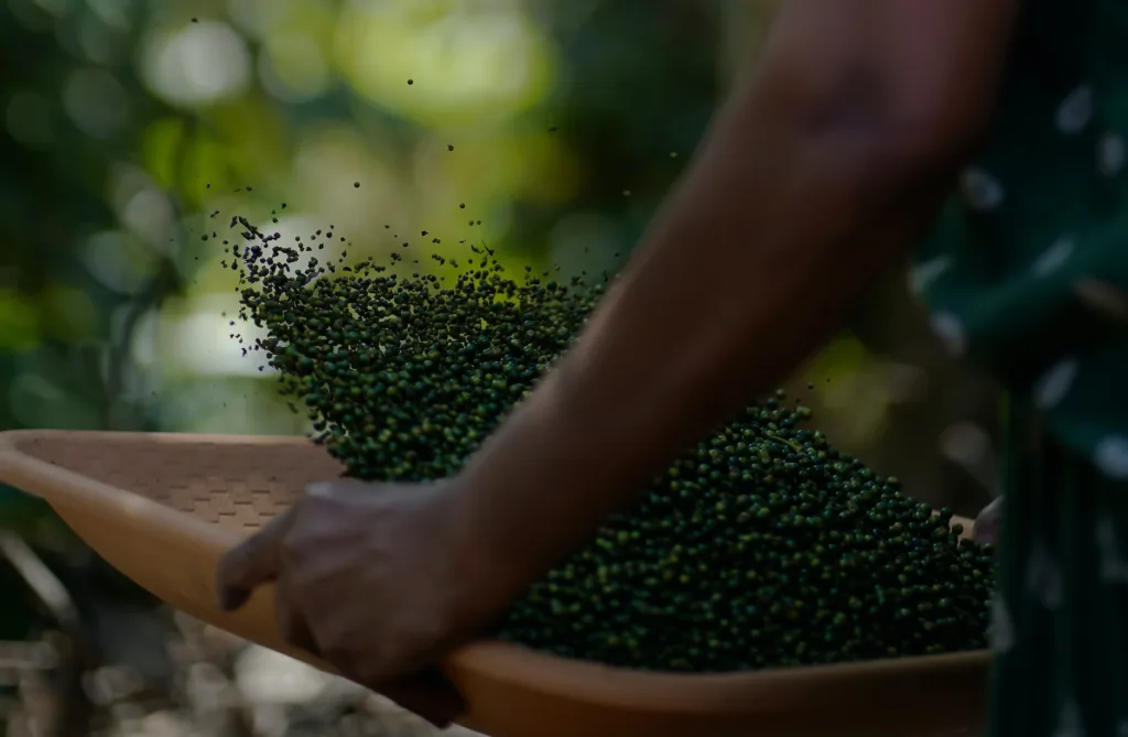 a person holding a tray Kerala craftsmanship at its best Reputable home builders in Pathanamthitta